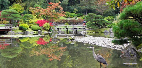 Free for All Images - Japanese Garden 2